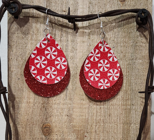 Earrings 35