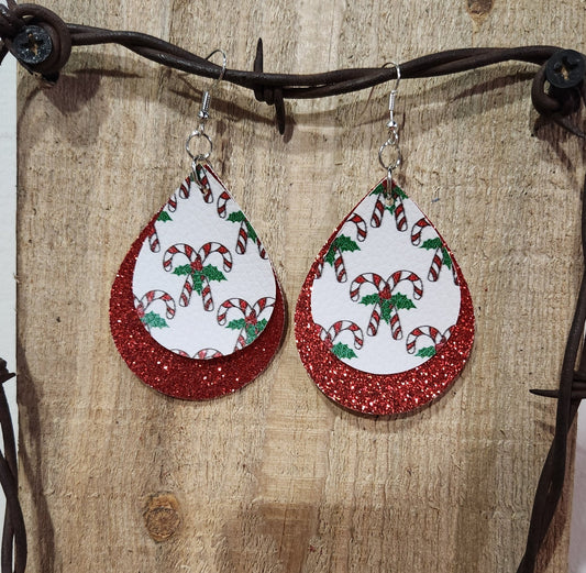 Earrings 45