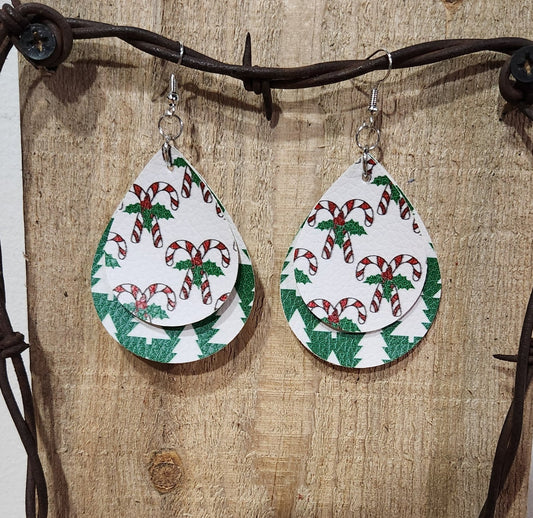 Earrings 49