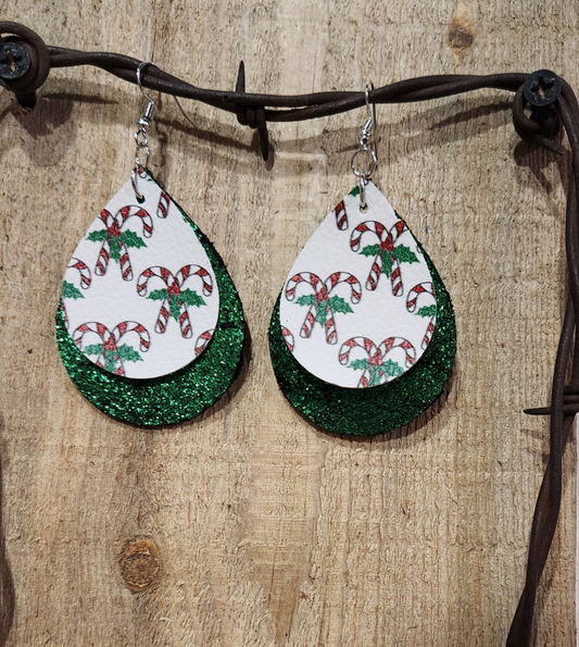 Earrings 17